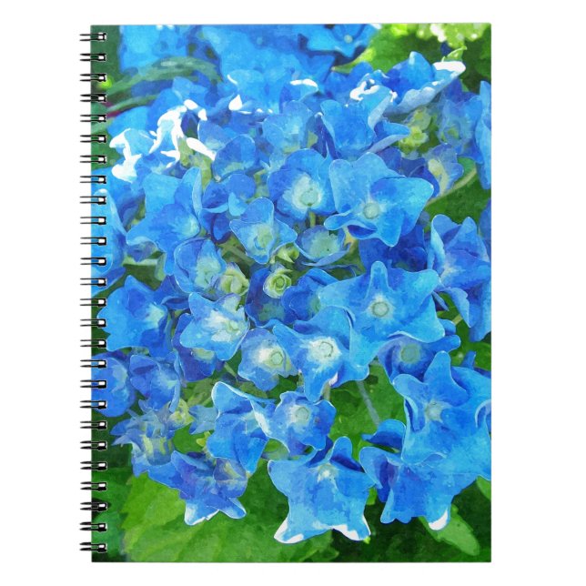 Carnet Fleurs d'hydrangée bleue. Photographie florale. (Devant)