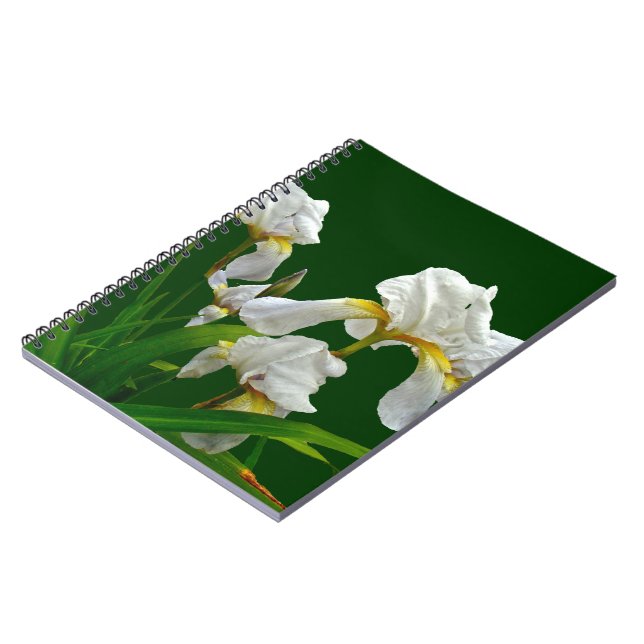 Carnet Fleurs d'Iris à poils blancs (Côté gauche)