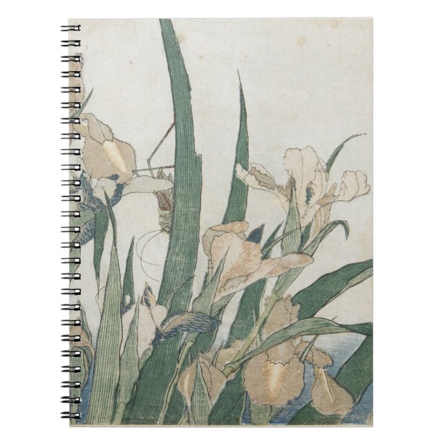 Carnet Fleurs d'iris et sauterelle, c.1830-31 (Devant)