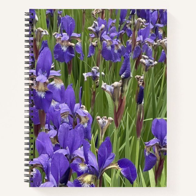 Carnet Fleurs d'Iris Violet Nature Plantes Photographie (Devant)