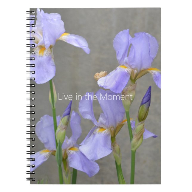Carnet Fleurs d'Iris Violettes (ma photographie) (Devant)