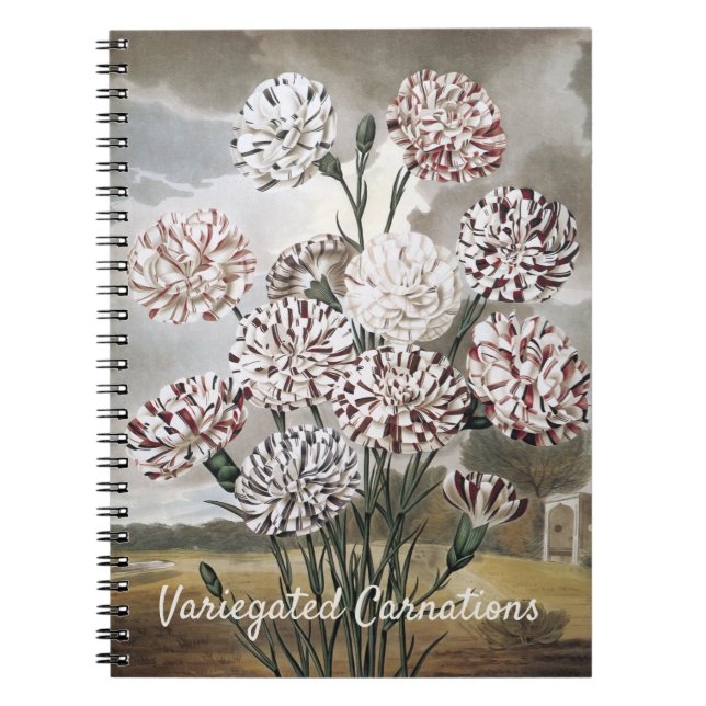 Carnet Fleurs d'œillet panachées vintage avec ciel gris (Devant)