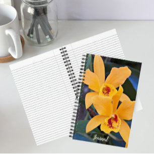 Carnet Fleurs d'orchidée orange en floraison