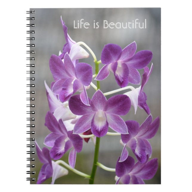 Carnet Fleurs d'Orchidée Violette Kauai (Devant)