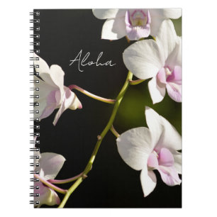 Carnet Fleurs d'orchidées de Kauai (photo prise par moi)