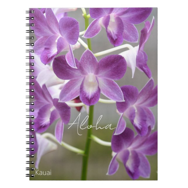 Carnet Fleurs d'orchidées roses tropicales Kauai (Devant)