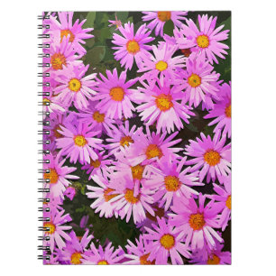CARNET FLEURS DU JOUR