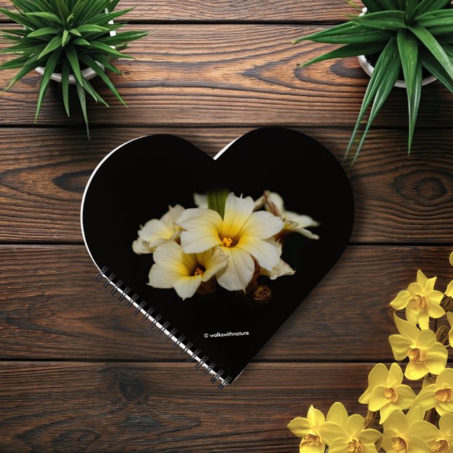 Carnet Fleurs élégantes en satin sur noir (Elegant Satin Flowers on Black Journal Cover Photo)