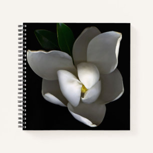 Carnet Fleurs   Fleur de Magnolia blanc unique