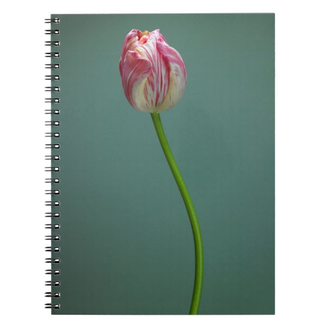 Carnet Fleurs | Fleur de tulipe unique (Devant)