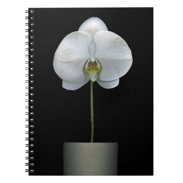 Carnet Fleurs | Fleur d'orchidées blanches (Devant)
