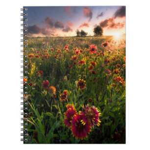 Carnet Fleurs Fleur sauvage indien Texas