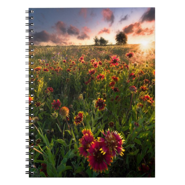 Carnet Fleurs | Fleur sauvage indien Texas (Devant)