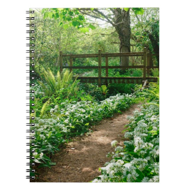 Carnet Fleurs | Fleurs sauvages blancs en forêt (Devant)