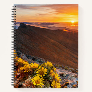 Carnet Fleurs Îles Canaries, Espagne