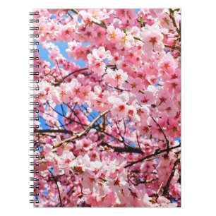 Carnet Fleurs japonaises de cerises