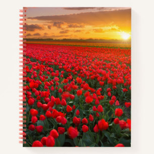 Carnet Fleurs Jardin botanique Hollande