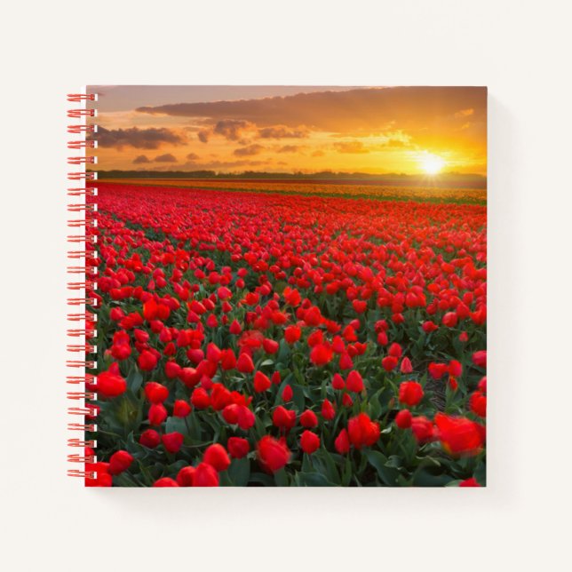 Carnet Fleurs | Jardin botanique Hollande (Devant)