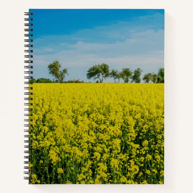 Carnet Fleurs jaunes (Devant)