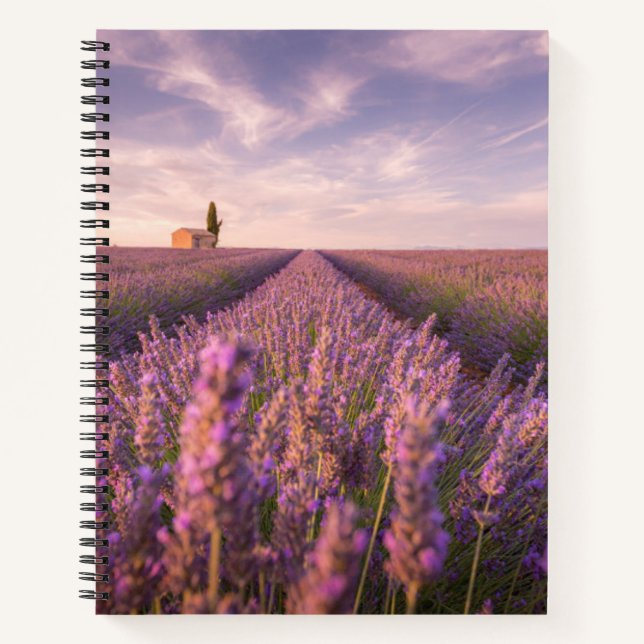 Carnet Fleurs | Lavande Sud France (Devant)