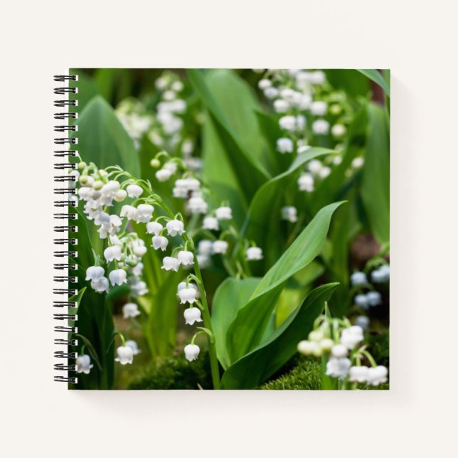 Carnet Fleurs | Lily de la vallée Suède (Devant)