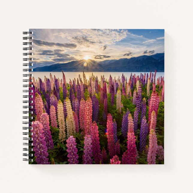 Carnet Fleurs | Lupines Nouvelle-Zélande (Devant)