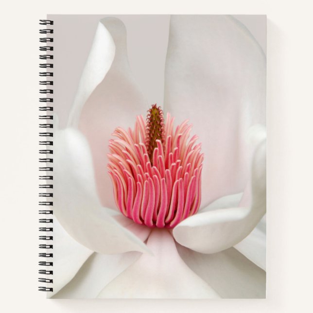 Carnet Fleurs | Magnolia blanche (Devant)