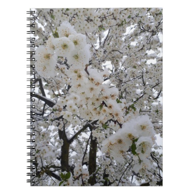 Carnet Fleurs neigeuses (Devant)