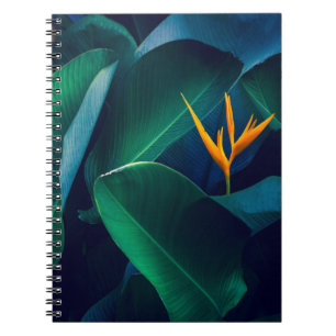 Carnet Fleurs   Oiseau du paradis