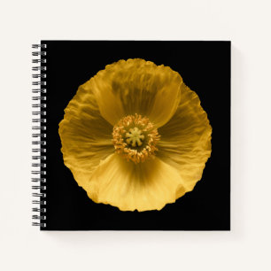 Carnet Fleurs   Pavot jaune