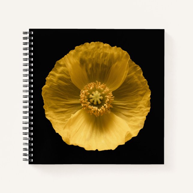 Carnet Fleurs | Pavot jaune (Devant)