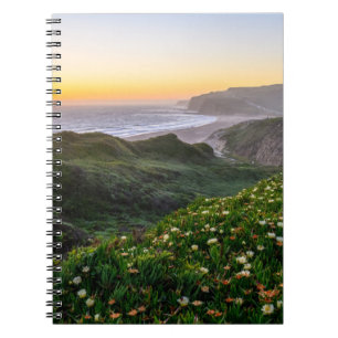 Carnet Fleurs Père Noël Cruz Californie