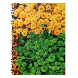 Carnet Fleurs pétales assorties