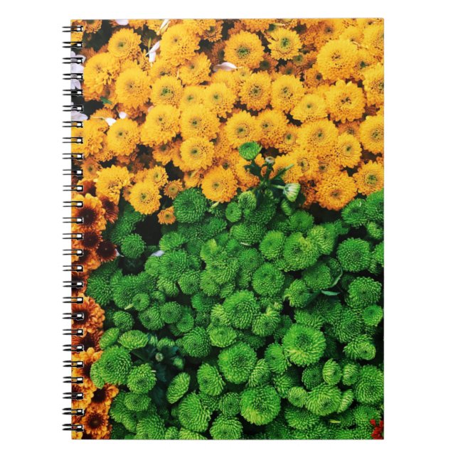 Carnet Fleurs pétales assorties (Devant)