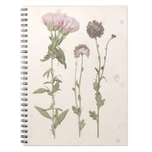 Carnet Fleurs pressées - rose