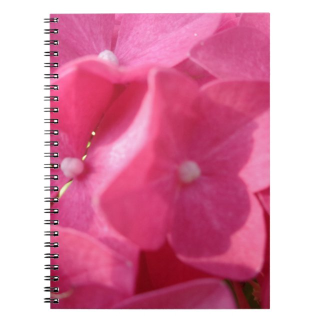 Carnet fleurs roses (Devant)