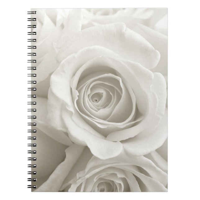 Carnet Fleurs | Roses blanches (Devant)