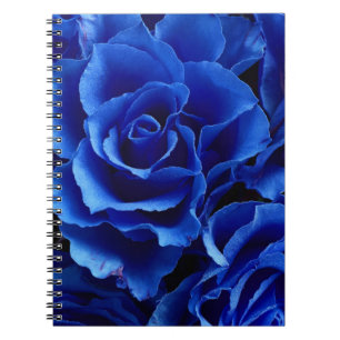 Carnet Fleurs roses bleues romance plante