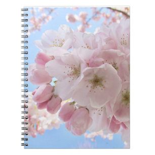 Carnet Fleurs roses Ciel Bleu. 
