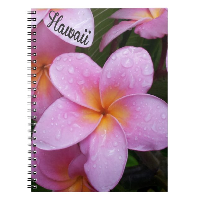 Carnet Fleurs roses de Plumeria d'Hawaï (Devant)
