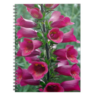 Carnet Fleurs roses de renard