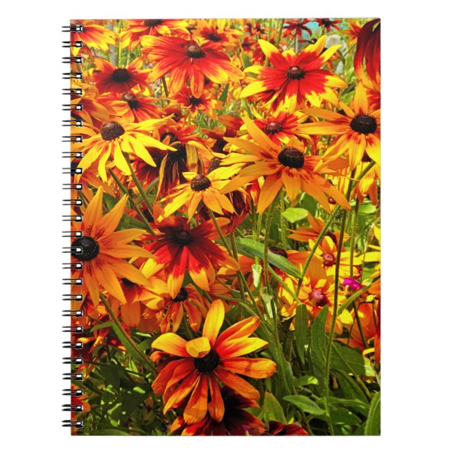 CARNET FLEURS RUDBECKIA (Devant)