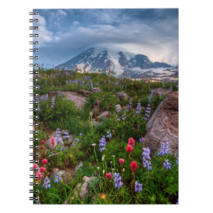 Carnet Fleurs sauvages