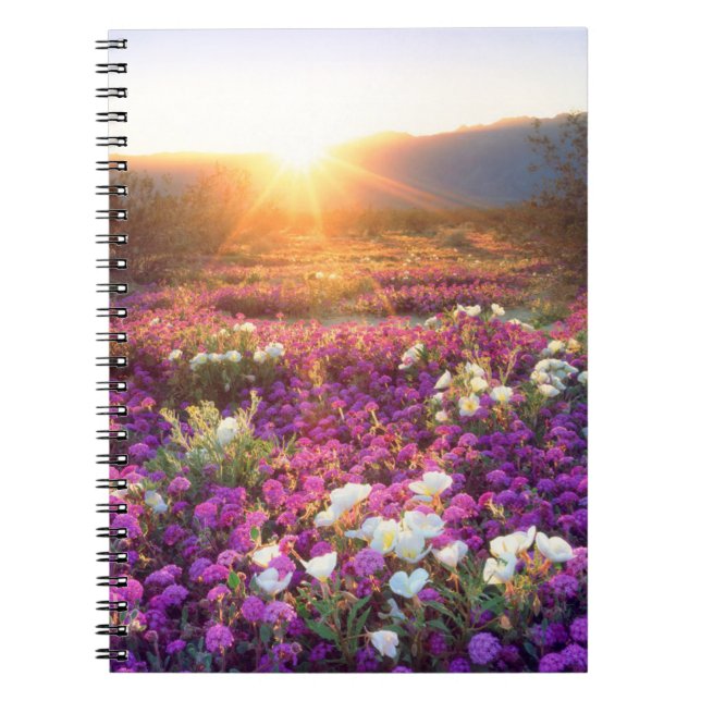 Carnet Fleurs sauvages au coucher du soleil | Désert d'An (Devant)