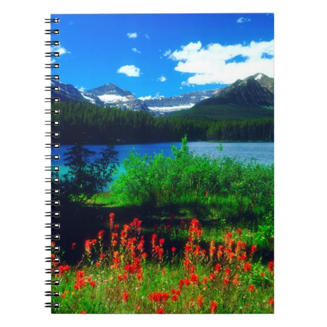 Carnet Fleurs sauvages Indian Paintbrush (Devant)