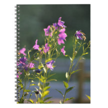 Fleurs sauvages violets