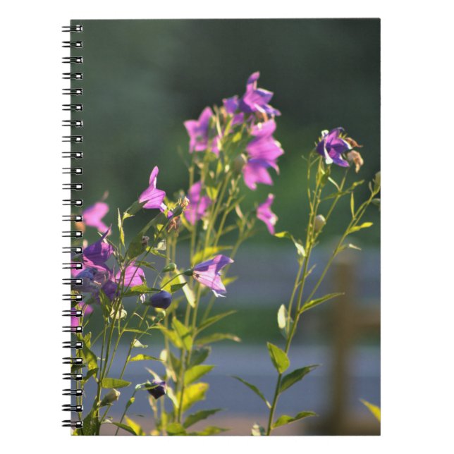 Carnet Fleurs sauvages violets (Devant)