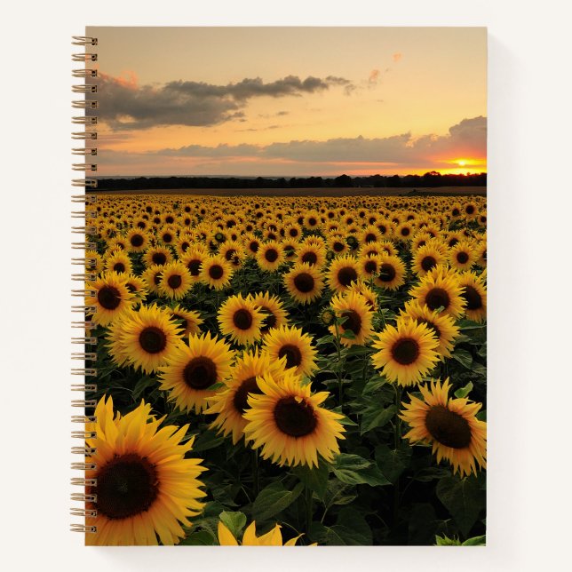 Carnet Fleurs | Terrain de tournesol (Devant)