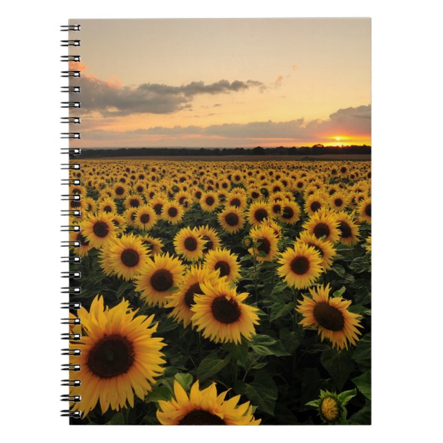Carnet Fleurs | Terrain de tournesol (Devant)