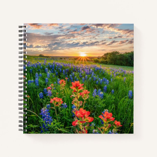 Carnet Fleurs | Texas Bluebonnets & Indian Paintbrush (Devant)
